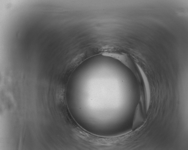 X0000067390033200604071805