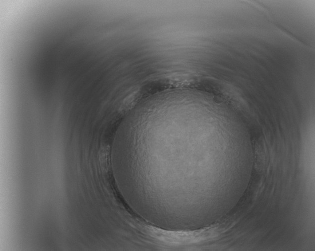 X0000067390034200604071805