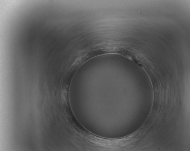 X0000067390035200604071805