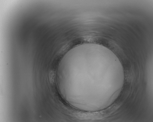 X0000067390036200604071805