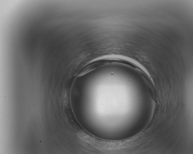 X0000067390037200604071805