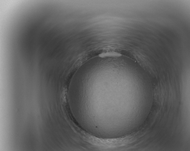 X0000067390038200604071805