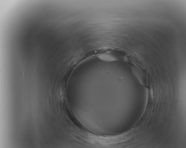 X0000067390039200604071805