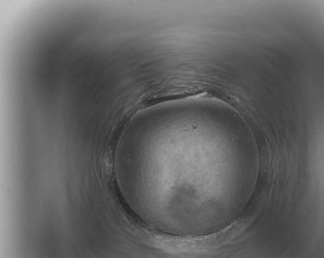 X0000067390040200604071805