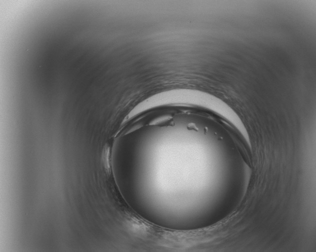 X0000067390041200604071805