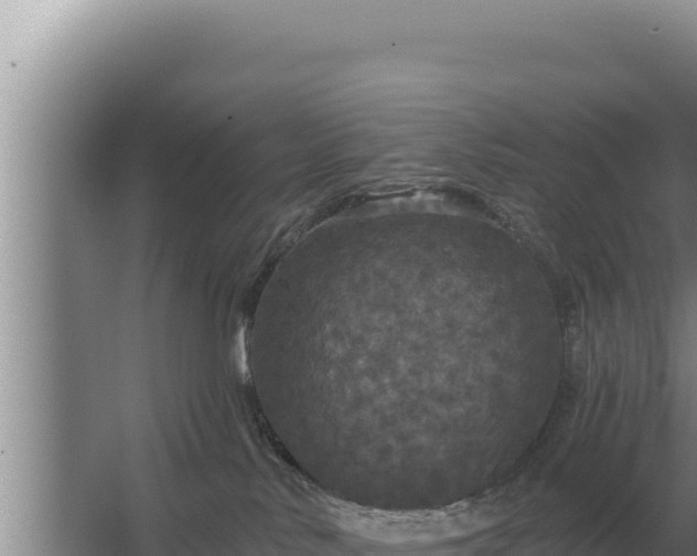 X0000067390042200604071805