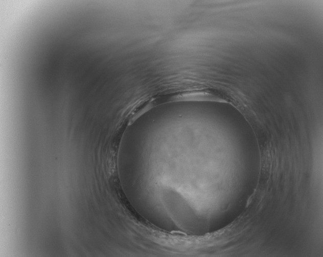 X0000067390043200604071805