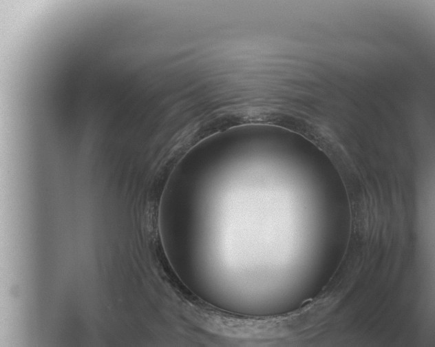 X0000067390044200604071805