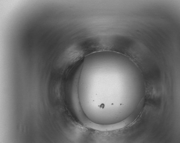 X0000067390045200604071805