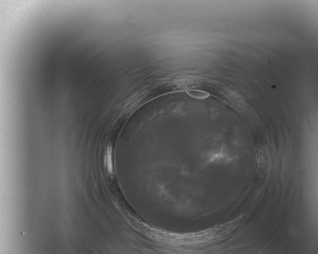 X0000067390046200604071805