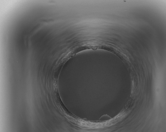 X0000067390048200604071805