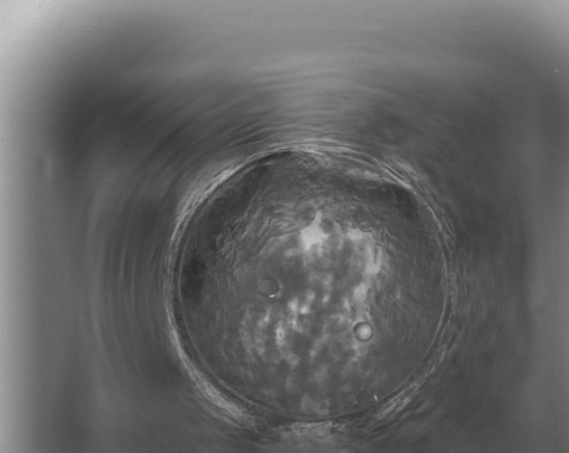 X0000067390049200604071804