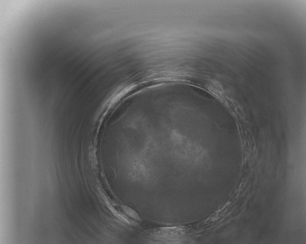 X0000067390050200604071804