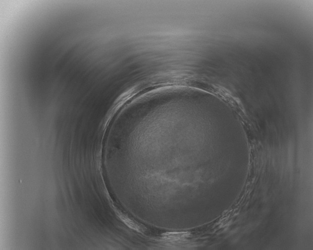 X0000067390051200604071804