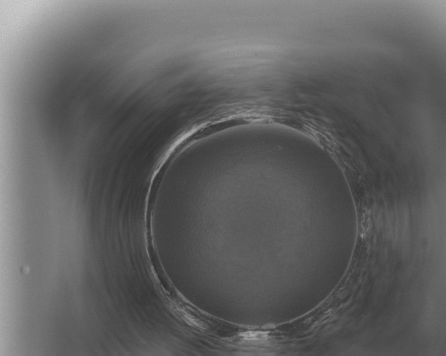 X0000067390052200604071804