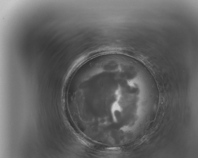 X0000067390053200604071804