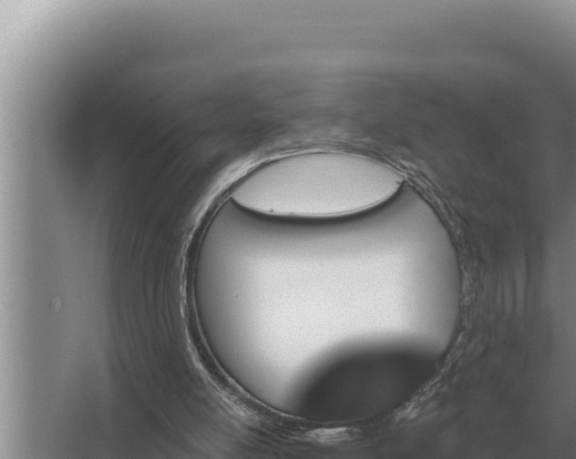 X0000067390054200604071804