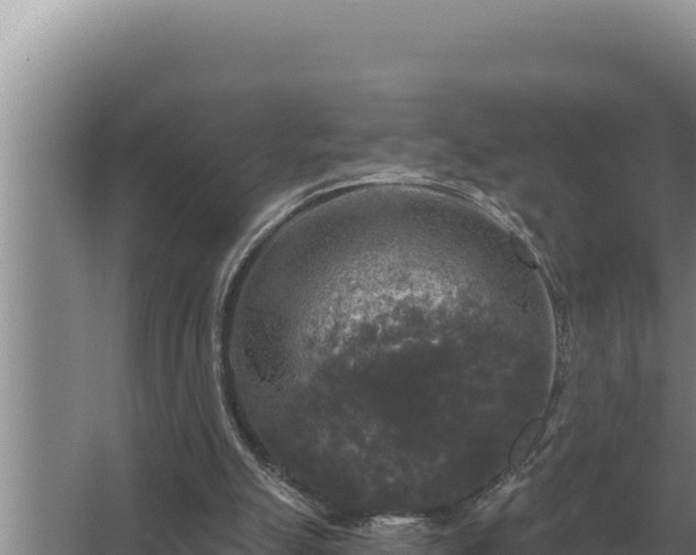 X0000067390055200604071804