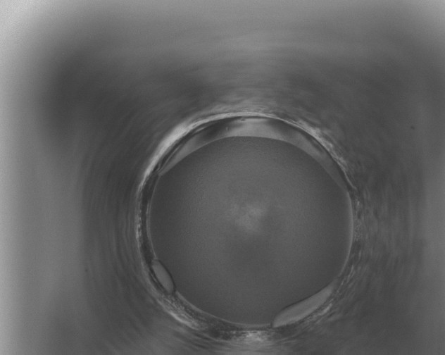 X0000067390056200604071804