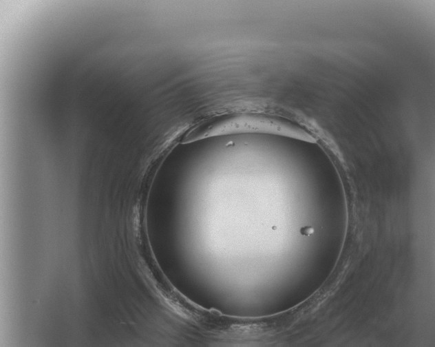 X0000067390057200604071804