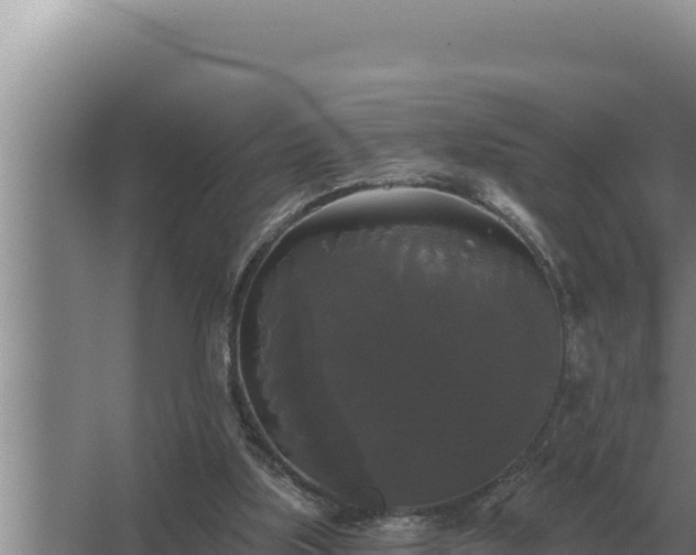 X0000067390059200604071804