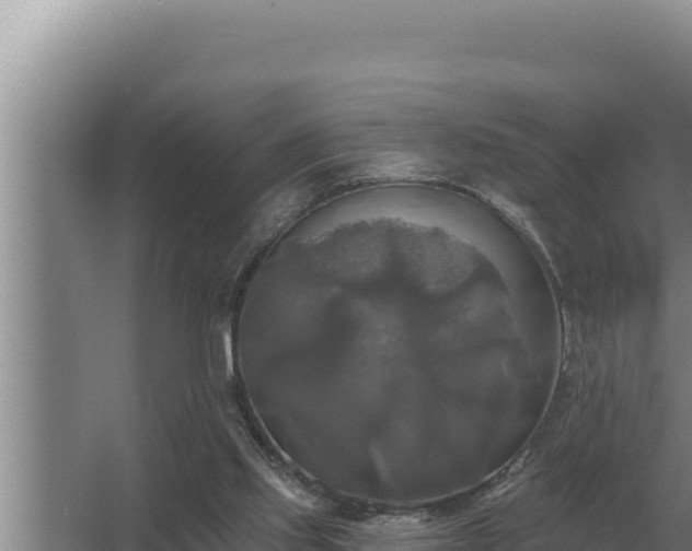 X0000067390061200604071804