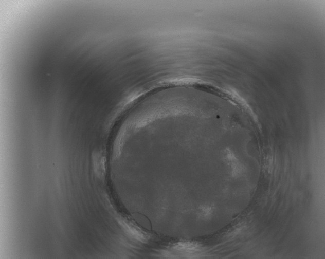 X0000067390063200604071804