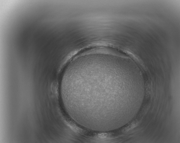 X0000067390064200604071804