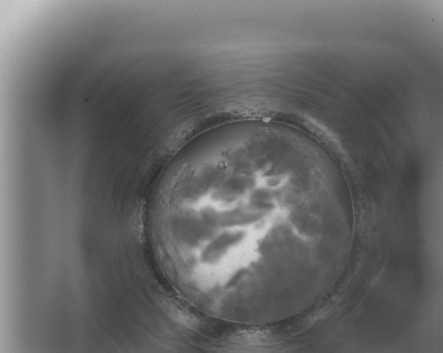 X0000067390065200604071804