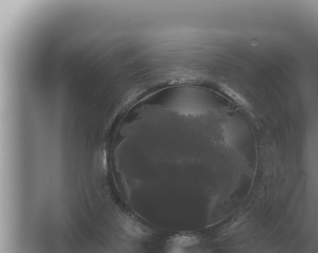 X0000067390067200604071804