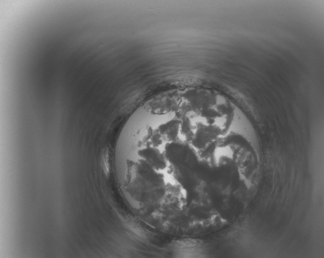 X0000067390069200604071804