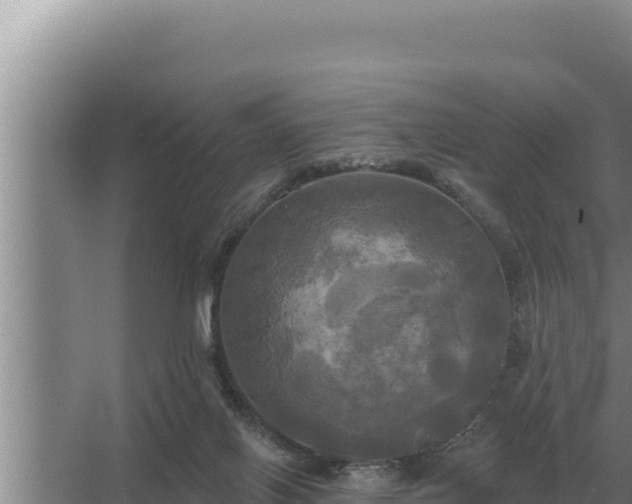 X0000067390070200604071804