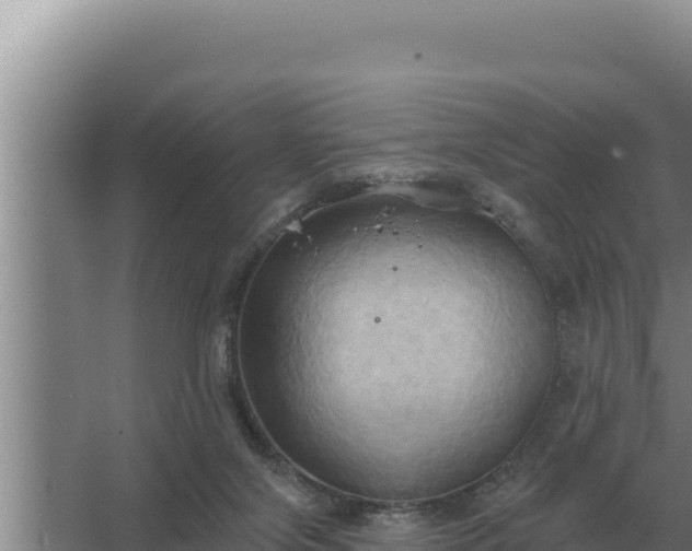 X0000067390071200604071804