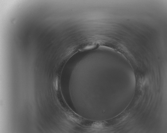 X0000067390076200604071804