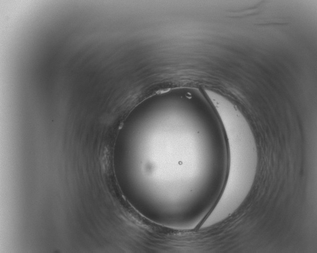 X0000067390077200604071804