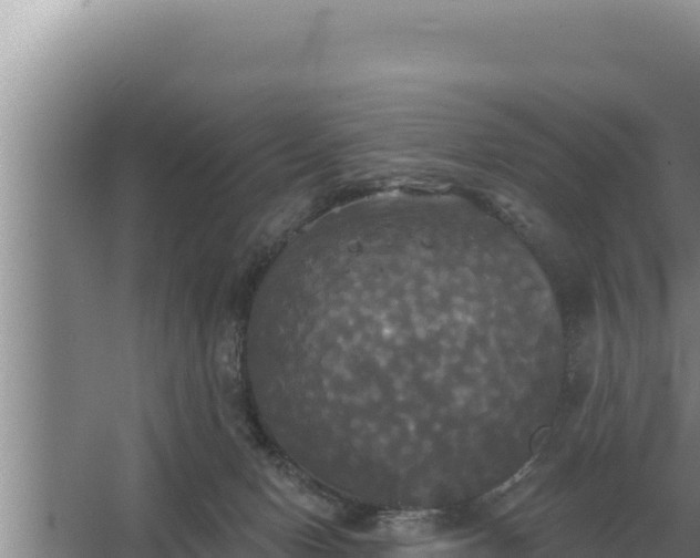 X0000067390078200604071804