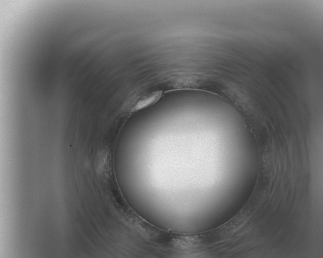 X0000067390079200604071804