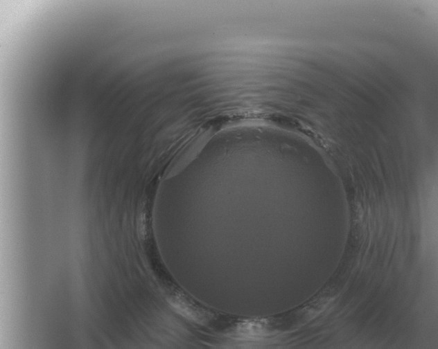 X0000067390080200604071804