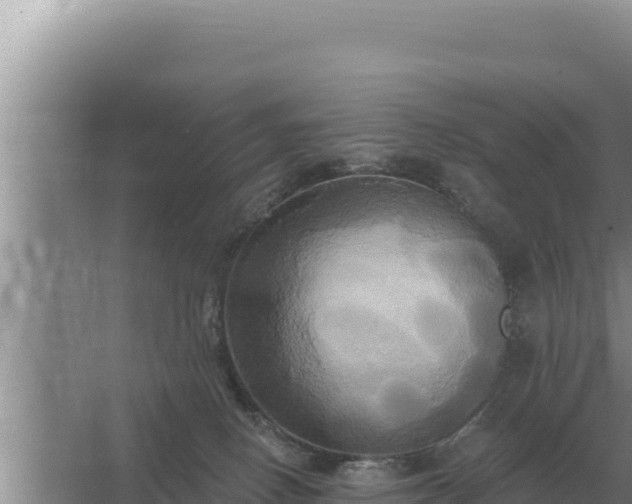 X0000067390082200604071804