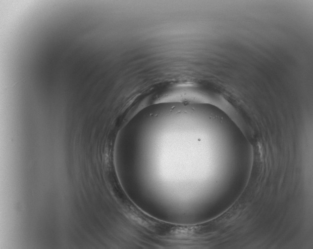 X0000067390084200604071805