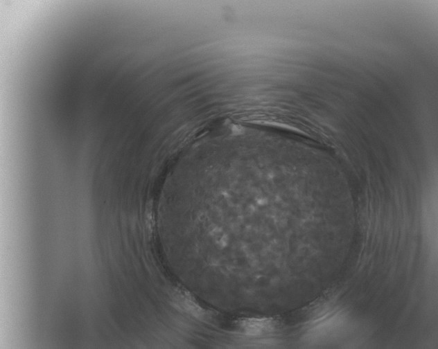 X0000067390085200604071805