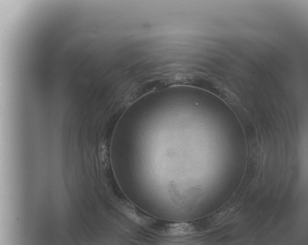 X0000067390087200604071805