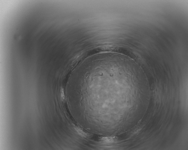 X0000067390089200604071805