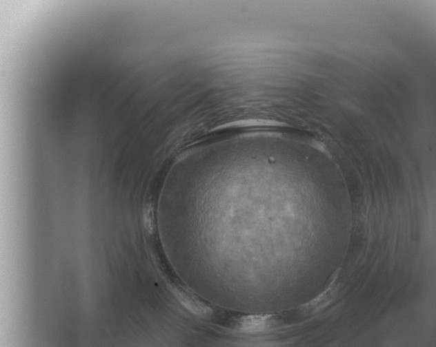 X0000067390090200604071805