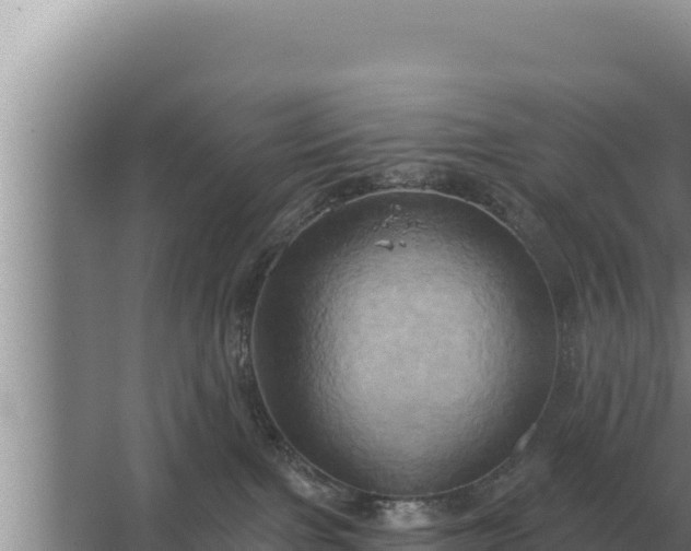 X0000067390091200604071805