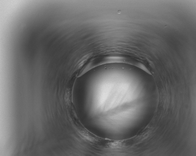 X0000067390092200604071805