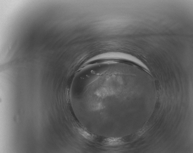 X0000067390093200604071805