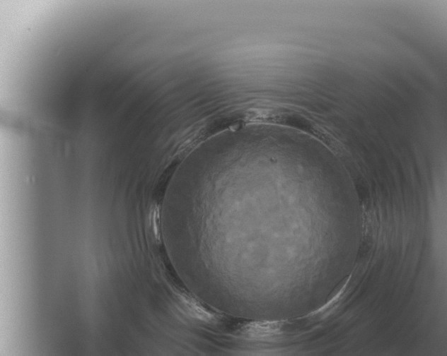 X0000067390094200604071805