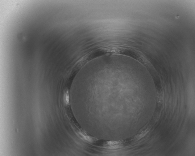 X0000067390095200604071805