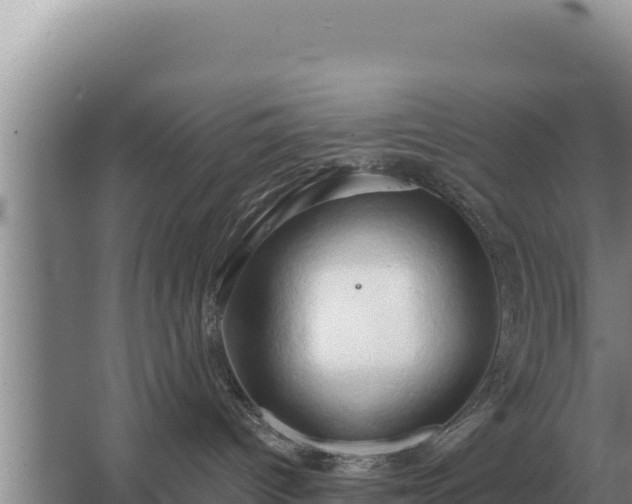 X0000067390096200604071805